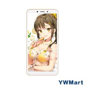 小米（MI） 红米6 学生手机 流沙金 4G+64G 全网通