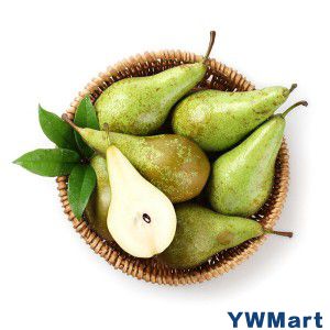 荷兰 进口青啤梨 4个装 大果 单果重约170-220g 新鲜水果
