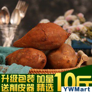 云南天山雪莲果 红山泥沙新鲜水果 中圆果带箱11斤
