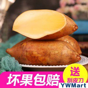 云南天山雪莲果 红山泥沙新鲜水果 中圆果带箱11斤
